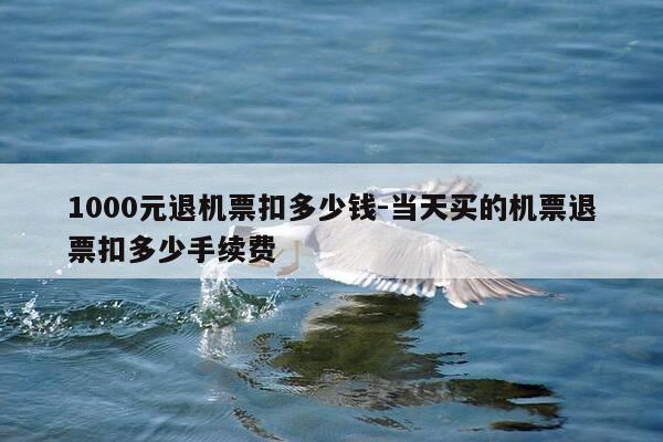 1000元退机票扣多少钱-当天买的机票退票扣多少手续费-第1张图片-优惠活动网 1000元退机票扣多少钱-当天买的机票退票扣多少手续费-第1张图片-优惠活动网
