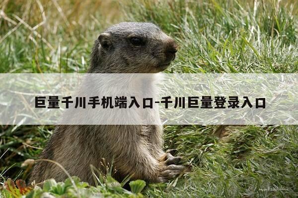 巨量千川手机端入口-千川巨量登录入口-第1张图片-优惠活动网 巨量千川手机端入口-千川巨量登录入口-第1张图片-优惠活动网