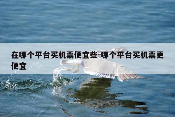 在哪个平台买机票便宜些-哪个平台买机票更便宜-第1张图片-优惠活动网