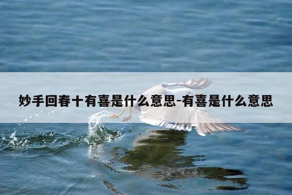 妙手回春十有喜是什么意思-有喜是什么意思-第1张图片-优惠活动网