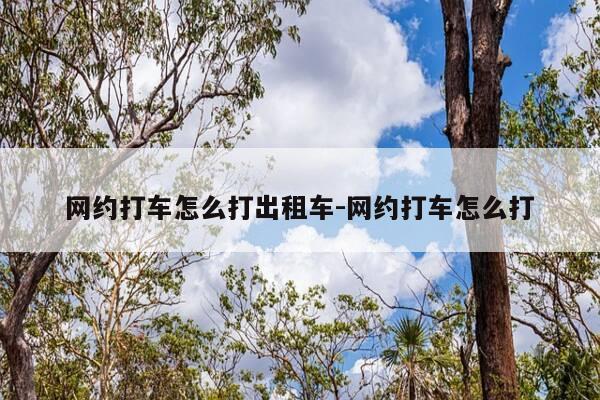 网约打车怎么打出租车-网约打车怎么打-第1张图片-优惠活动网 网约打车怎么打出租车-网约打车怎么打-第1张图片-优惠活动网
