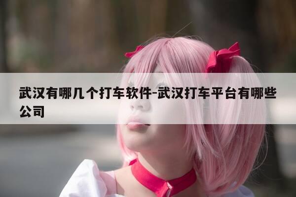 武汉有哪几个打车软件-武汉打车平台有哪些公司-第1张图片-优惠活动网