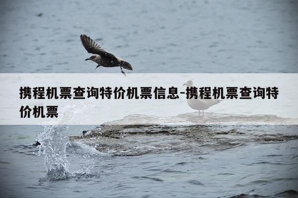 携程机票查询特价机票信息-携程机票查询特价机票-第1张图片-优惠活动网
