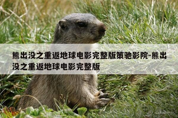 熊出没之重返地球电影完整版策驰影院-熊出没之重返地球电影完整版-第1张图片-优惠活动网