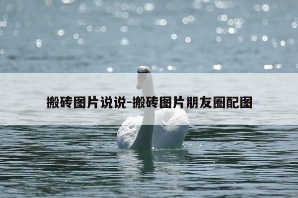 搬砖图片说说-搬砖图片朋友圈配图-第1张图片-优惠活动网