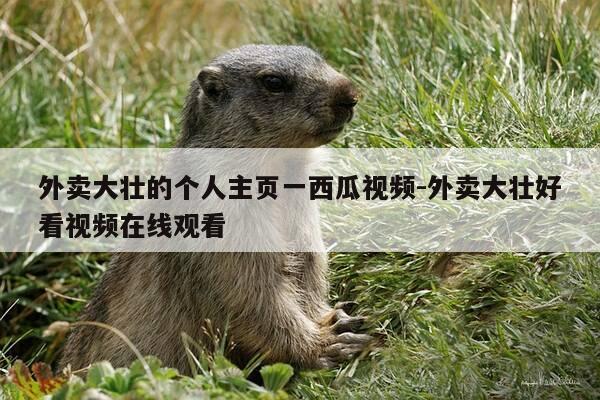 外卖大壮的个人主页一西瓜视频-外卖大壮好看视频在线观看-第1张图片-优惠活动网 外卖大壮的个人主页一西瓜视频-外卖大壮好看视频在线观看-第1张图片-优惠活动网