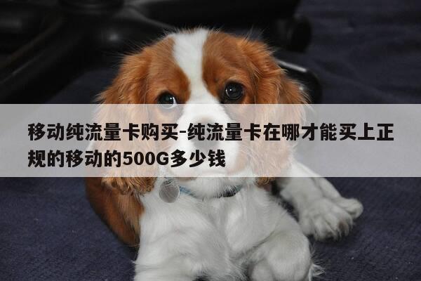 移动纯流量卡购买-纯流量卡在哪才能买上正规的移动的500G多少钱-第1张图片-优惠活动网
