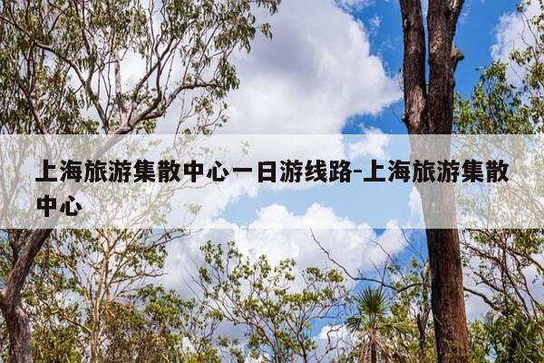 上海旅游集散中心一日游线路-上海旅游集散中心-第1张图片-优惠活动网 上海旅游集散中心一日游线路-上海旅游集散中心-第1张图片-优惠活动网