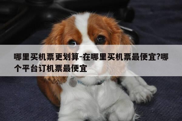 哪里买机票更划算-在哪里买机票最便宜?哪个平台订机票最便宜-第1张图片-优惠活动网 哪里买机票更划算-在哪里买机票最便宜?哪个平台订机票最便宜-第1张图片-优惠活动网