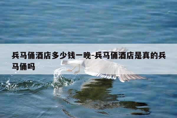 兵马俑酒店多少钱一晚-兵马俑酒店是真的兵马俑吗-第1张图片-优惠活动网