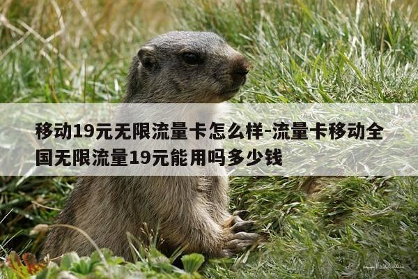 移动19元无限流量卡怎么样-流量卡移动全国无限流量19元能用吗多少钱-第1张图片-优惠活动网 移动19元无限流量卡怎么样-流量卡移动全国无限流量19元能用吗多少钱-第1张图片-优惠活动网