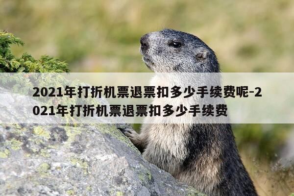 2021年打折机票退票扣多少手续费呢-2021年打折机票退票扣多少手续费-第1张图片-优惠活动网