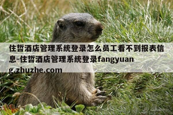 住哲酒店管理系统登录怎么员工看不到报表信息-住哲酒店管理系统登录fangyuang.zhuzhe.com-第1张图片-优惠活动网