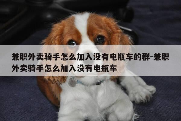 兼职外卖骑手怎么加入没有电瓶车的群-兼职外卖骑手怎么加入没有电瓶车-第1张图片-优惠活动网