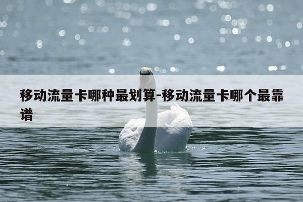 移动流量卡哪种最划算-移动流量卡哪个最靠谱-第1张图片-优惠活动网