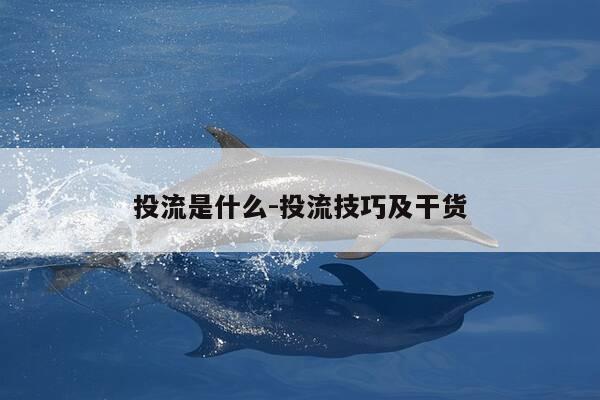 投流是什么-投流技巧及干货-第1张图片-优惠活动网