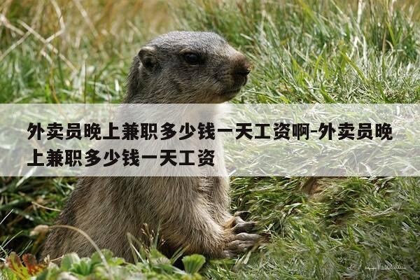 外卖员晚上兼职多少钱一天工资啊-外卖员晚上兼职多少钱一天工资-第1张图片-优惠活动网 外卖员晚上兼职多少钱一天工资啊-外卖员晚上兼职多少钱一天工资-第1张图片-优惠活动网