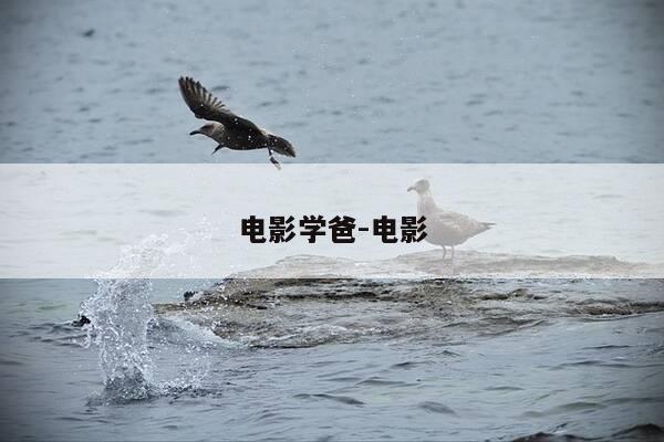 电影学爸-电影-第1张图片-优惠活动网 电影学爸-电影-第1张图片-优惠活动网