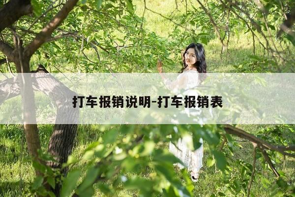 打车报销说明-打车报销表-第1张图片-优惠活动网