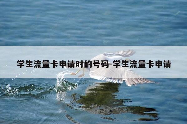 学生流量卡申请时的号码-学生流量卡申请-第1张图片-优惠活动网