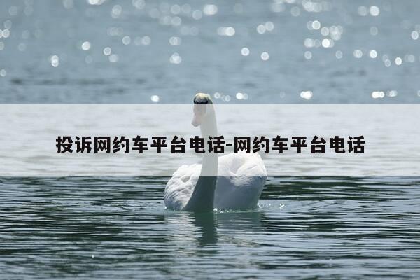 投诉网约车平台电话-网约车平台电话-第1张图片-优惠活动网