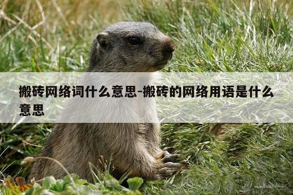 搬砖网络词什么意思-搬砖的网络用语是什么意思-第1张图片-优惠活动网