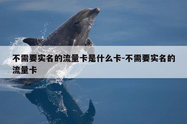 不需要实名的流量卡是什么卡-不需要实名的流量卡-第1张图片-优惠活动网 不需要实名的流量卡是什么卡-不需要实名的流量卡-第1张图片-优惠活动网