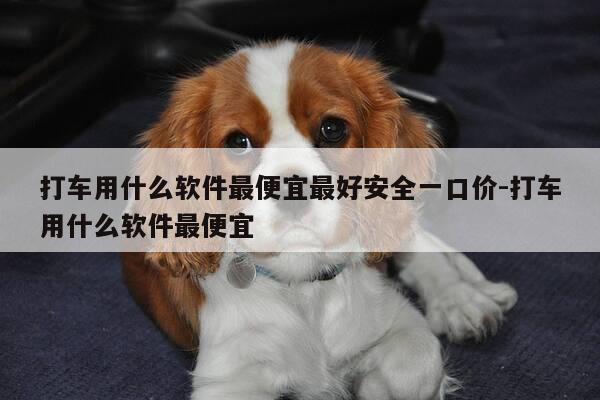 打车用什么软件最便宜最好安全一口价-打车用什么软件最便宜-第1张图片-优惠活动网