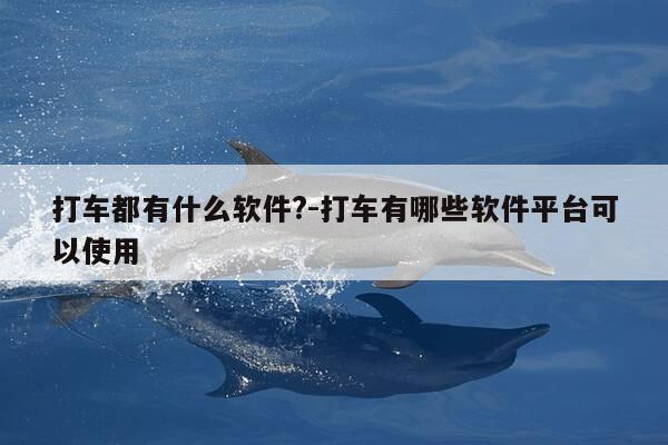 打车都有什么软件?-打车有哪些软件平台可以使用-第1张图片-优惠活动网