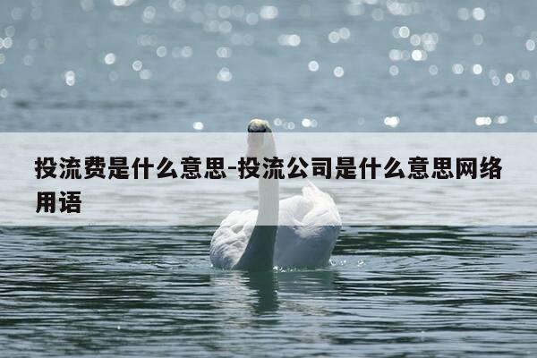投流费是什么意思-投流公司是什么意思网络用语-第1张图片-优惠活动网