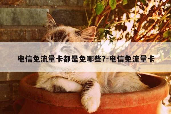 电信免流量卡都是免哪些?-电信免流量卡-第1张图片-优惠活动网