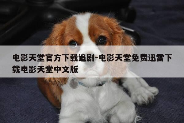 电影天堂官方下载追剧-电影天堂免费迅雷下载电影天堂中文版-第1张图片-优惠活动网