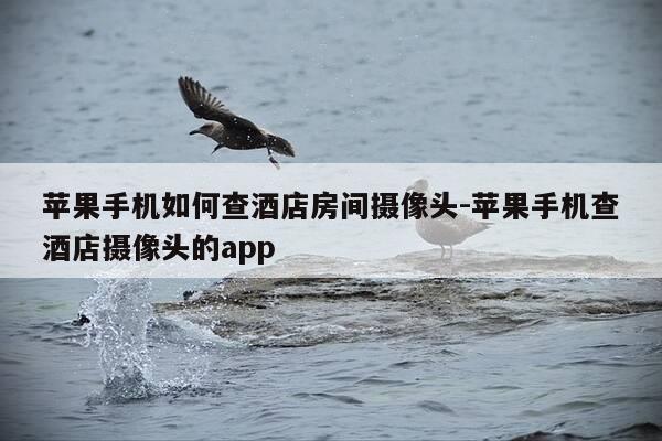 苹果手机如何查酒店房间摄像头-苹果手机查酒店摄像头的app-第1张图片-优惠活动网