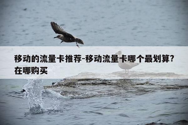 移动的流量卡推荐-移动流量卡哪个最划算?在哪购买-第1张图片-优惠活动网