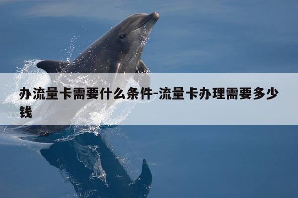 办流量卡需要什么条件-流量卡办理需要多少钱-第1张图片-优惠活动网