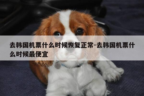 去韩国机票什么时候恢复正常-去韩国机票什么时候最便宜-第1张图片-优惠活动网