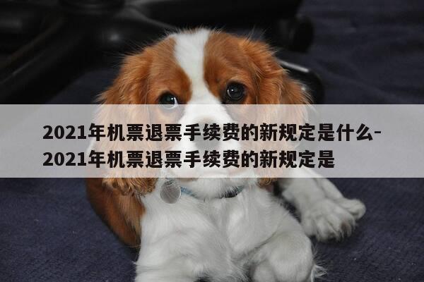 2021年机票退票手续费的新规定是什么-2021年机票退票手续费的新规定是-第1张图片-优惠活动网 2021年机票退票手续费的新规定是什么-2021年机票退票手续费的新规定是-第1张图片-优惠活动网