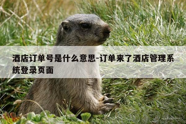 酒店订单号是什么意思-订单来了酒店管理系统登录页面-第1张图片-优惠活动网