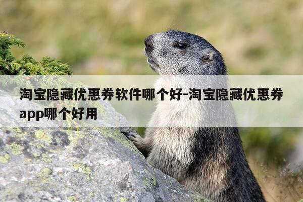 淘宝隐藏优惠券软件哪个好-淘宝隐藏优惠券app哪个好用-第1张图片-优惠活动网