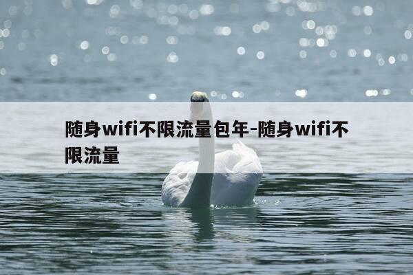 随身wifi不限流量包年-随身wifi不限流量-第1张图片-优惠活动网 随身wifi不限流量包年-随身wifi不限流量-第1张图片-优惠活动网