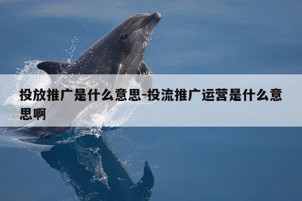 投放推广是什么意思-投流推广运营是什么意思啊-第1张图片-优惠活动网