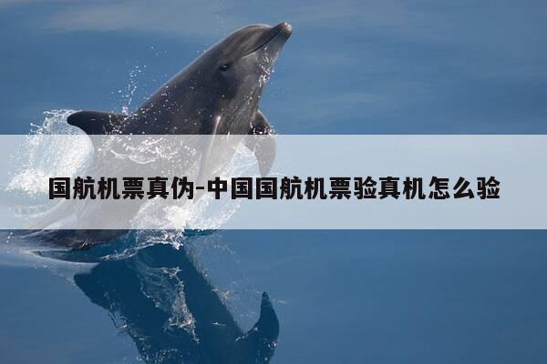 国航机票真伪-中国国航机票验真机怎么验-第1张图片-优惠活动网