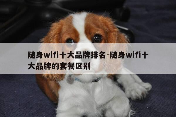 随身wifi十大品牌排名-随身wifi十大品牌的套餐区别-第1张图片-优惠活动网