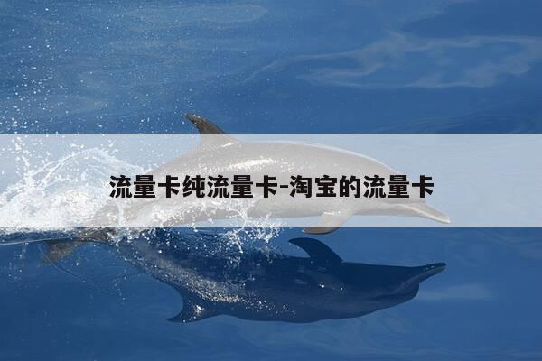 流量卡纯流量卡-淘宝的流量卡-第1张图片-优惠活动网