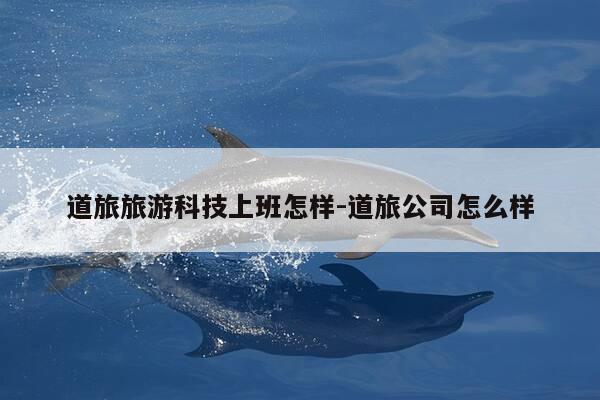 道旅旅游科技上班怎样-道旅公司怎么样-第1张图片-优惠活动网