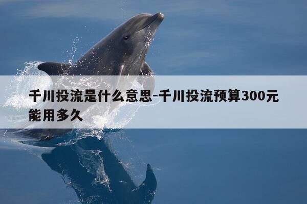 千川投流是什么意思-千川投流预算300元能用多久-第1张图片-优惠活动网