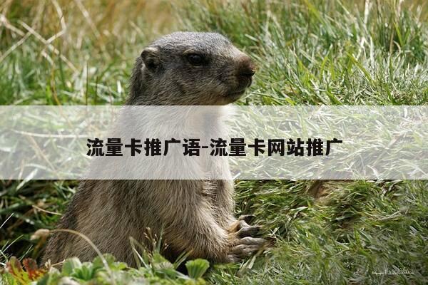 流量卡推广语-流量卡网站推广-第1张图片-优惠活动网