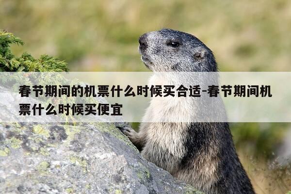 春节期间的机票什么时候买合适-春节期间机票什么时候买便宜-第1张图片-优惠活动网