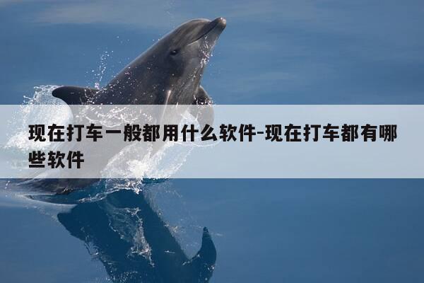 现在打车一般都用什么软件-现在打车都有哪些软件-第1张图片-优惠活动网