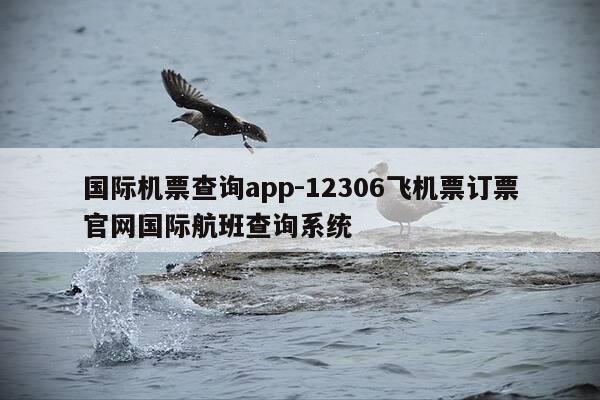 国际机票查询app-12306飞机票订票官网国际航班查询系统-第1张图片-优惠活动网